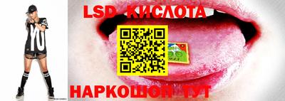 гидра Моздок